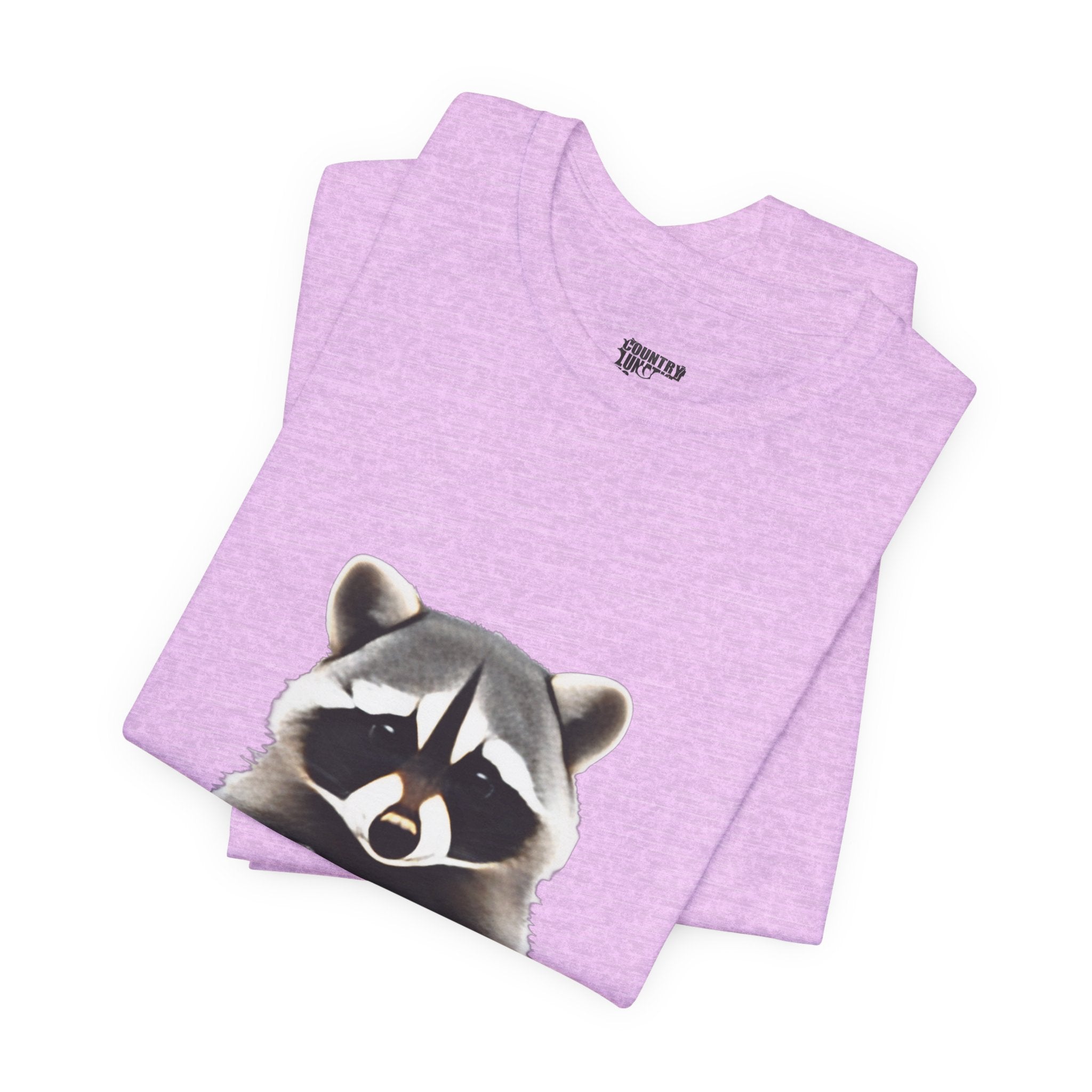 Country Lunatic Racoon Tee — 'F.C.W.B' Muscle Car Graphic Shirt